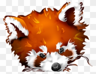Red Panda Clipart Fox - Red Panda - Png Download