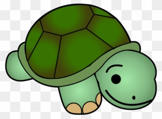 Cute Turtle Clip Art Free Clipart Images - Clip Art Of A Turtle - Png Download