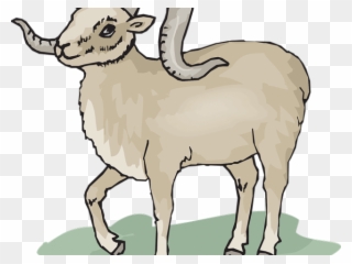 Dall Sheep Clipart Transparent - Cute Ram Clip Art - Png Download