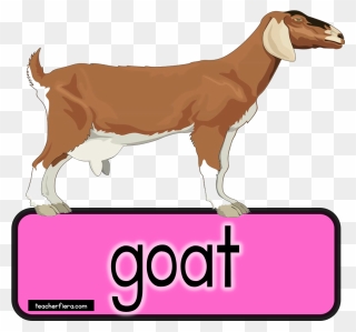 Goat Clipart Bakri - Goat - Png Download
