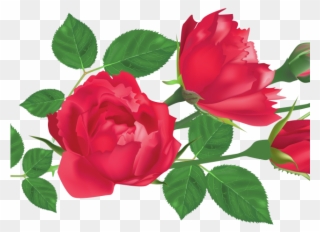 Red Rose Clipart Leaf Png - Png Rose Leaf Transparent Png