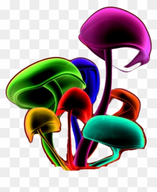 960 X 600 6 - Psilocybin Mushrooms Png Clipart