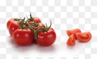Cooperativa Agrícola San Isidro - Plum Tomato Clipart