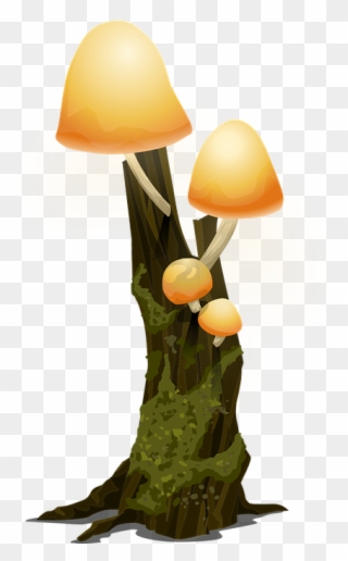 Hier - Arboles Del Bosque Png Clipart