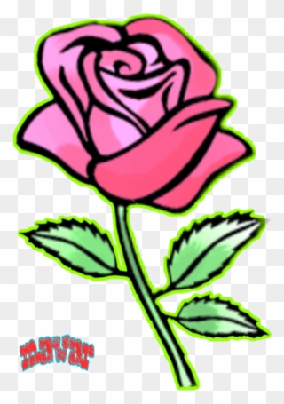 Rose Flowers Images Drawing Clipart