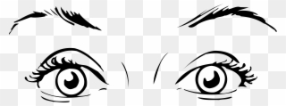 Eye Cdr Clip Art - Types Of Female Eyes - Png Download