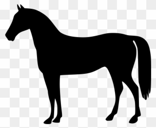 Clipart Of Horses, Horse The And 2 Horse - Horse Standing Silhouette - Png Download