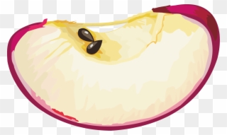Pomme Tranche Vector - Illustration Clipart