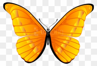 Free Png Download Orange Butterfly Clipart Png Photo - Yellow Orange Butterfly Png Transparent Png