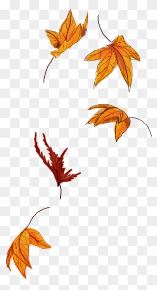 Fall Leaves Clip Art/sticker - Illustration - Png Download
