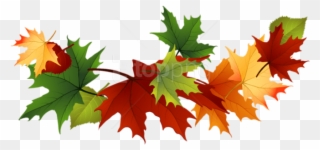 Free Png Download Fall Transparent Leaves Clipart Png - Transparent Background Fall Leaves Clip Art