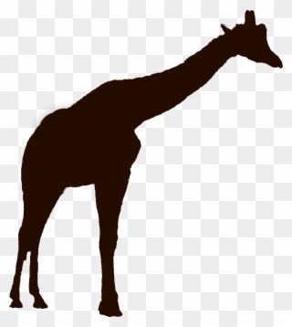 Giraffe Silhouette Png - Giraffe Clipart
