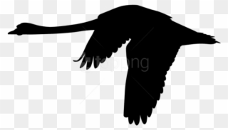 Free Png Flying Swan Silhouette Png Png - Black Swan Flying Art Clipart