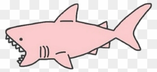 1024 X 471 1 0 0 - Stickers Shark Clipart