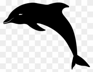 #mq #black #dolphin #silhouette #animal - Common Bottlenose Dolphin Clipart