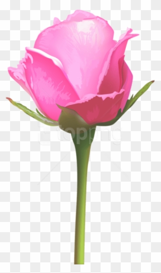 Download Single Pink Rose Png Images Background - Single Light Pink Rose Clipart