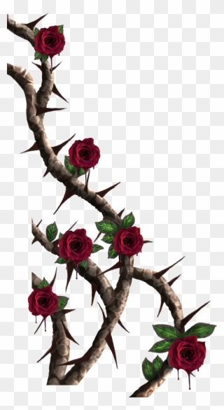 Vines Roses Vine Red - Rose Thorns Png Clipart