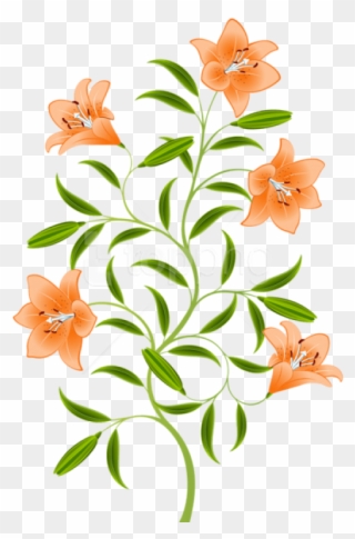 Download Orange Lily Png Images Background - Orange Lily Png Clipart