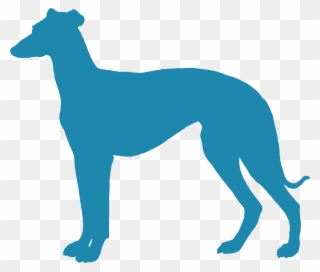 Cogshall - Transparent Italian Greyhound Silhouette Clipart
