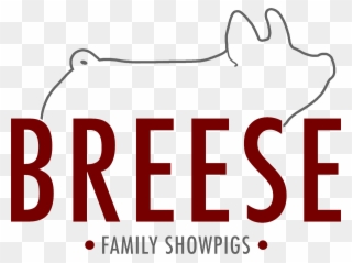 Breese Family Showpigs - Cat Clipart