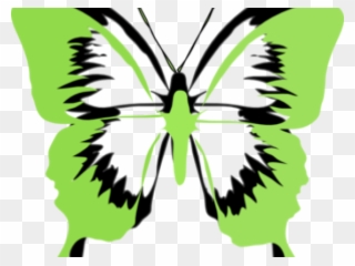 Rainbow Butterfly Clipart Green Butterfly - Mariposas En Blanco Y Negro - Png Download