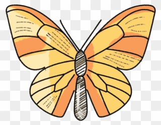 Schmetterling Butterfly Schulranzen Motiv - Large Copper Clipart