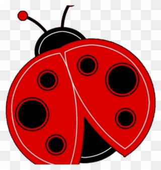 Ladybug Clipart High Resolution - Baby Lady Bug Clip Art - Png Download