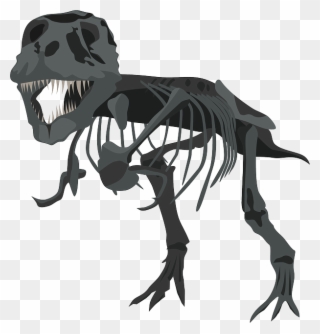 Tyrannosaurus Carnivore Pencil And In Color - T Rex Skeleton Png Clipart