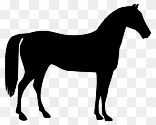 Mare Clipart Horse Barn - Free Horse Silhouette - Png Download