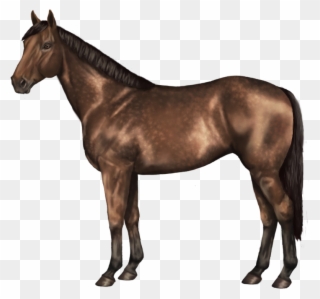 Bard's Tale Of White Night Acres Epic Win X Skade 2 - Does A Horse Look Like Clipart