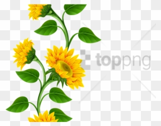 Free Png Sunflower Frame Png Png Image With Transparent - Clipart Transparent Background Sunflower