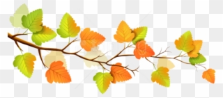 Free Png Download Autumn Png Images Background Png - Branch Fall Leaves Clip Art Transparent Png