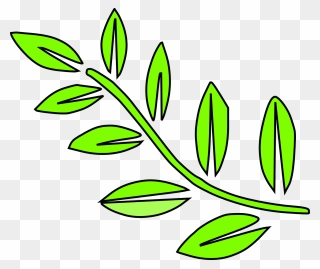 Yaprak Dal Bitki Doğa Yeşil Mevsimlik - Tallo De Hojas Dibujo Clipart