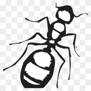 And Apple Hatenylo Com Sketch Of An - Ant Clipart Black And White - Png Download