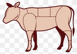 Beef Cuts Drawing Clipart