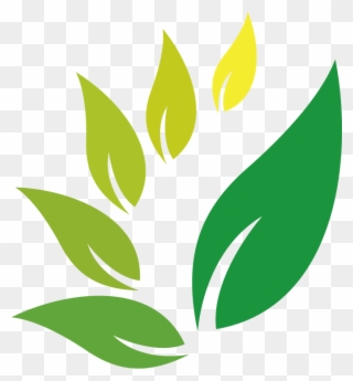 Jamu Herb Indian Jujube Herbal Logo Clipart - Logo Herb Graphic Design Free Clip Art - Png Download