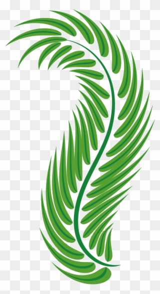 Vector Free Stock Palm Leaf Green Arecaceae Easter - Spiral Leaves Png Clipart