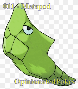 011 - Metapod Harden - Harden - Harden - Harden - Harden - Metapod Png Clipart