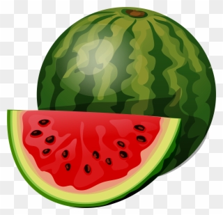 Fruiting Clipart Watermelon - Clipart Of Watermelon Png Transparent Png
