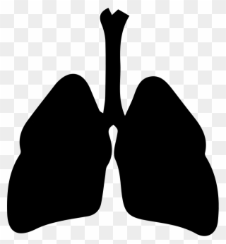 Respiratory System Svg Png Icon Free Download - Respiratory System Icon Clipart