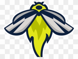 Firefly Clipart Night - Columbia Fireflies - Png Download