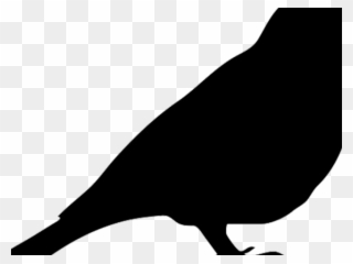 Mockingbird Clipart Robin - Perching Bird - Png Download