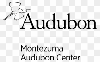 Free Educator Training @ The Mac - National Audubon Society Clipart