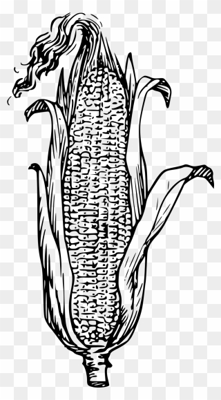 Corn Clipart Black And White - Png Download