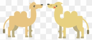 Camel Animal Desert - อูฐ การ์ตูน Png Clipart