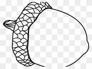 Acorn Clipart Black And White - Drawing Of An Acorn - Png Download