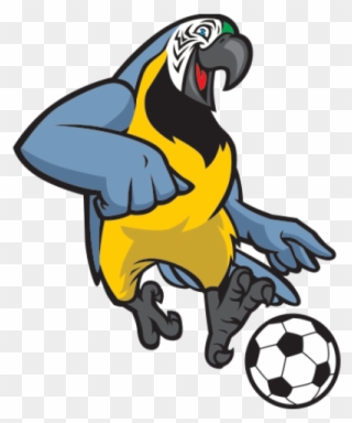 Parrot Clipart Soccer - White Soccer Ball - Png Download