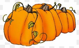 Pumpkin Clipart Vine - Transparent Background Pumpkins Clip Art - Png Download