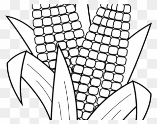 Corn Clipart Black And White - Free Printable Coloring Page Corn - Png Download