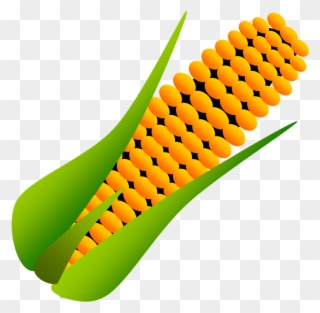 Corn Popcorn Cartoon - Corn Dessin Clipart